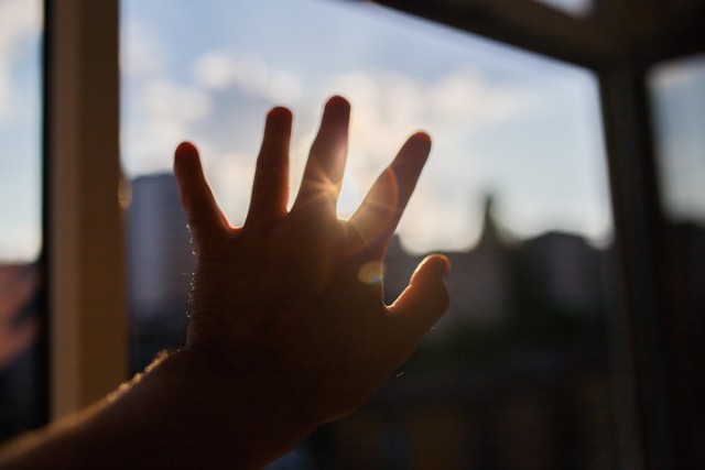 palm-through-the-glass-window.jpg.crdownload