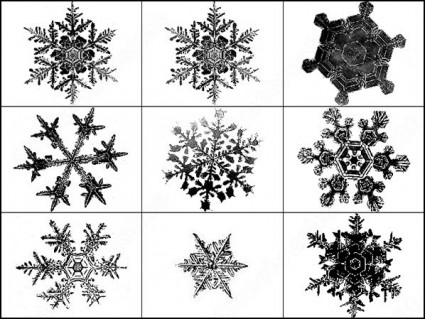 snowflakes_brush_39445