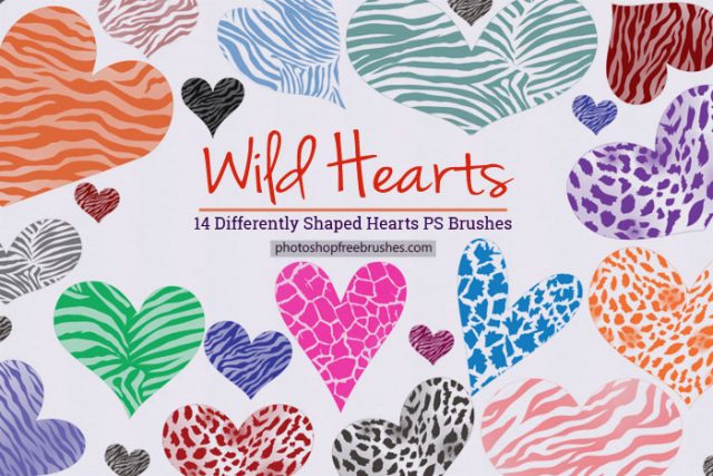 wild-hearts-ps-brushes-1